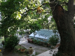Restauration d' une serre: Villa Magnan, Biarritz - Emard-Bois-Menuisier-Escalier